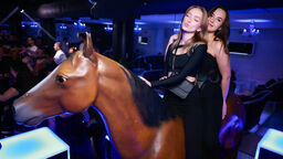 Welcome to the jungle. Szalona impreza w Helium Club