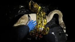 Ranny i wystraszony błąkał się przy drodze. Co zrobili policjanci? 