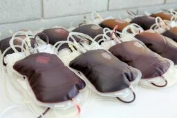 Warto oddać krew. Autokar RCKiK już w trasie