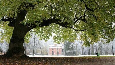 Walka zimy z jesienią w Parku Czartoryskich. Zobacz zdjęcia