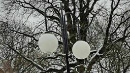 Miasto zostanie rozświetlone za kilka milionów złotych