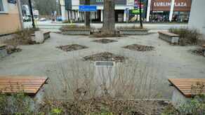 W ostatniej edycji zielonego budżetu skupiono się na rewitalizacji skwerów. Jednym ze zwycięskich projektów było odświeżenie zieleni na skwerze im. Zbigniewa Hołdy przy ul. Lipowej. Efekty mamy zobaczyć wiosną przyszłego roku.