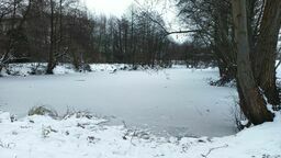 Woda w stawie była zamarznięta, ale lód mógł w każdej chwili pęknąć