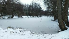 Woda w stawie była zamarznięta, ale lód mógł w każdej chwili pęknąć