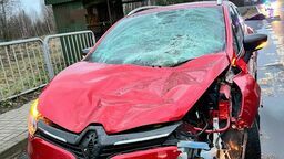 Renault po zderzeniu z wysokim i ciężkim łosiem