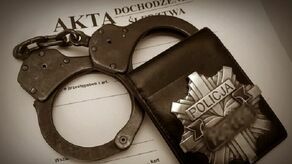 Głupi żart postawił na nogi pirotechników. 53-latkowi grozi 8 lat odsiadki