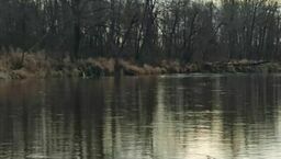 Rzeka Bug (zdjęcie ilustracyjne)