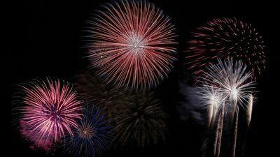 Sylwester bez fajerwerków? Coraz więcej takich apeli. Również od rządzących