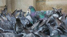 zdjęcie ilustracyjne 