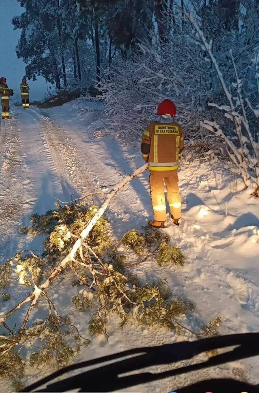 W rejonie Janowa Podlaskiego pod ciężarem śniegu łamią się gałęzie i spadają na drogi 