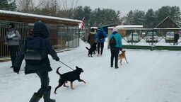 Jest bardzo zimno. Schronisko prosi o przygarnięcie psiaków 