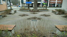 W ostatniej edycji zielonego budżetu skupiono się na rewitalizacji skwerów. Jednym ze zwycięskich projektów było odświeżenie zieleni na skwerze im. Zbigniewa Hołdy przy ul. Lipowej. Efekty mamy zobaczyć wiosną przyszłego roku.