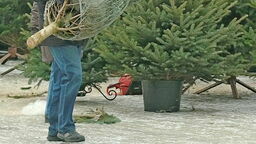 Zdjęcie ilustracyjne