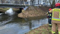 Strażacy oczyścili rzekę z zanieczyszczeń. Akcja trwała 3 godziny. Brały w niej udział cztery zastępy