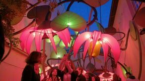 Nocy Kultury 2024. Każdy może mieć udział w tworzeniu festiwalu