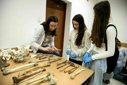 Noc Biologów na UMCS