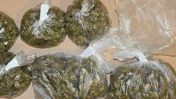 Podczas przeszukania mieszkań policjanci znaczne ilości narkotyków  