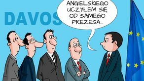 Tydzień w Krzywym zwierciadle Tomka Wilczkiewicza