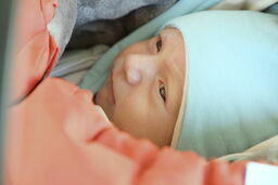 Lublin: Już jest. Pierwsze dziecko urodzone dzięki miejskiemu programowi in vitro to chłopczyk