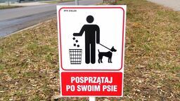 Miejska spółka chce edukować mieszkańców. Chodzi o psie odchody 