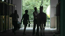 Ekstra pieniądze płyną do janowskiej stadniny. Nowy minister zaakceptował decyzję PiS-u