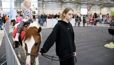 ZOO w Lublinie, czyli popularny ZOOPark. Alpaki, krowy, surykatki, a obok ścigające się ślimaki