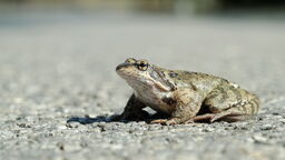 Zdjęcie ilustracyjne