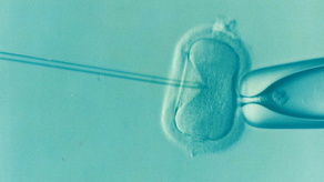 In vitro – zbrodniczy proceder. Oburzeni piszą do prezydenta, posłów i biskupów