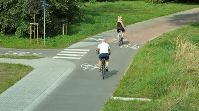 Zdjęcie ilustracyjne