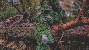 Raz do roku na poligonie