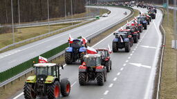 Rolnicy ruszą na Puławy. "Jeżeli nic się nie zmieni to nasze rolnictwo upadnie"