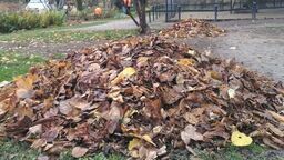 zdjęcie ilustracyjne