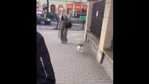 Co tu się wydarzyło? Transpłciowy celebryta gonił obcokrajowców