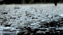 Łap deszczówkę - dostaniesz wsparcie od miasta. Wkrótce nabór wniosków