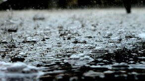 Łap deszczówkę - dostaniesz wsparcie od miasta. Wkrótce nabór wniosków