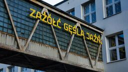 Polski język - trudna język. Dzień języka ojczystego