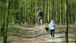 Czy Lublin stanie się zielonym rajem?