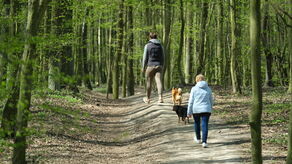 Czy Lublin stanie się zielonym rajem?