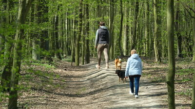 Czy Lublin stanie się zielonym rajem?