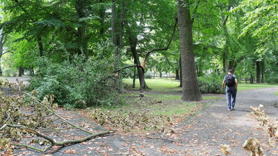 Miasto zabiera się za park Bronowicki