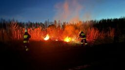 Strażacy walczyli z pożarem traw