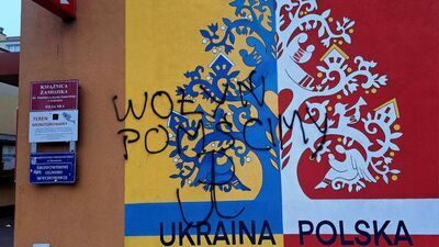 Mural autorstwa Iryny Martyn został odsłonięty we wrześniu 2022 roku na ścianie budynku przy ul. Peowiaków w Zamościu. Komuś najwyraźniej zaczął przeszkadzać