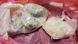 Ilość środków odurzających znalezionych u 21-latka została uznana za znaczną, dlatego młody człowiek trafił do aresztu