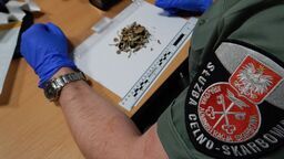 Czego to ludzie nie przemycą... Służba celna ujawnia najdziwniejsze przypadki