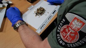 Czego to ludzie nie przemycą... Służba celna ujawnia najdziwniejsze przypadki