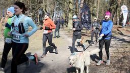 City Trail. Pobiegli po raz ostatni 