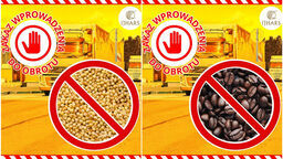 Tym razem kawa i proso. Kolejne produkty z Ukrainy zatrzymane na granicy