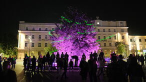 Pomysły kulturalne w Lublinie za 300 tys. zł