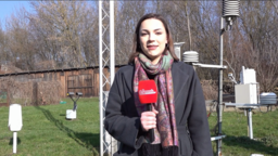 Pogoda na pierwszy dzień wiosny