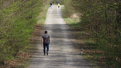 Las przy Kraśniku Fabrycznym wymknie się piłom